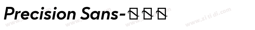 Precision Sans字体转换